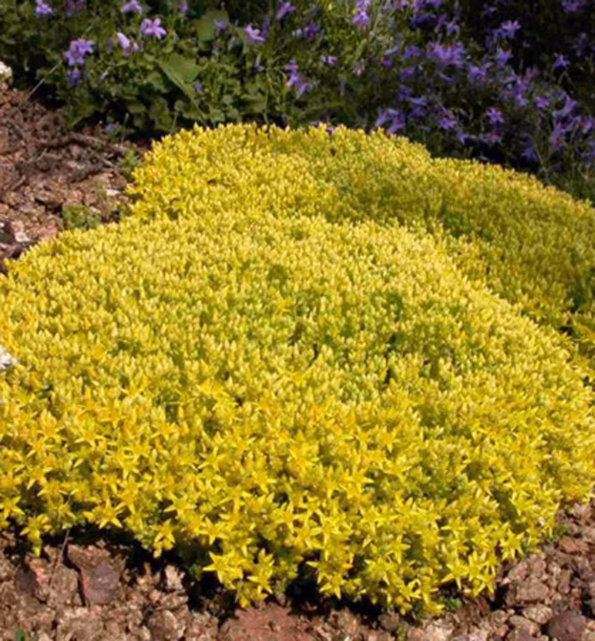 04dd9ad18aa72008a940d7e9572da902