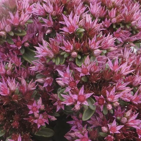 04ee43059a5db9cb7aaaf2eb5efffcdd