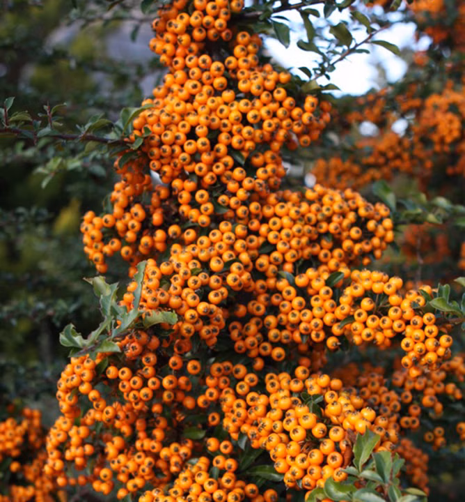 04f0224373158856c914efad6a89ab51