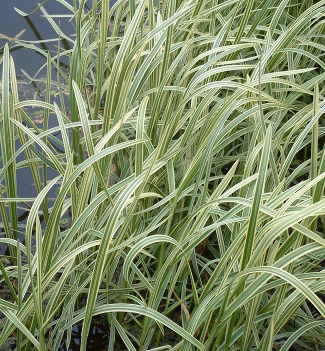 04f0a70a2ea962820fd1cf953182ac40