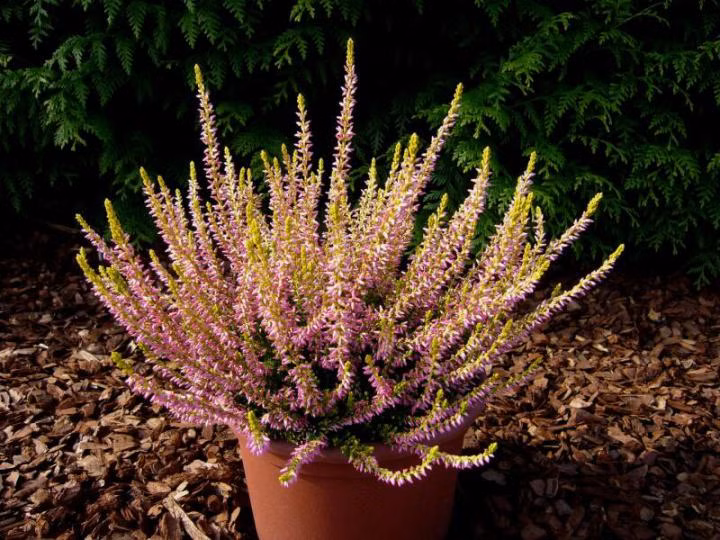 051a0a2c4eae7b8fd7a7d6b2f7549e5e