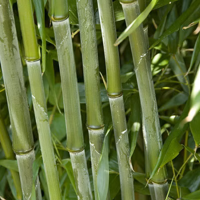 052178d3506e3d67ac57a1e804b1c0f6