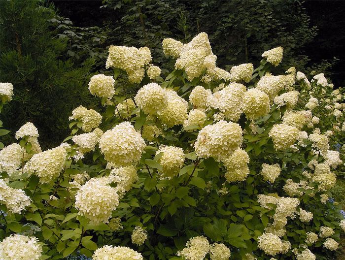 05ab6bf2b8891a2ebafe09104adb2a0f