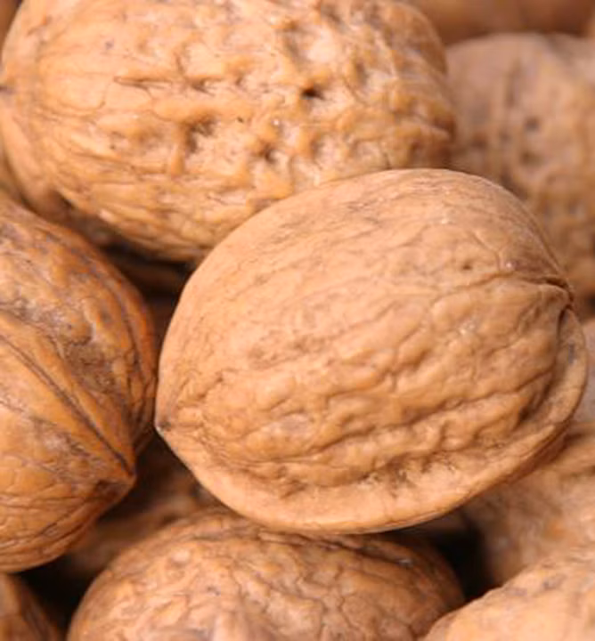 05b60846a5fb57d9fbcee8d5536c4494