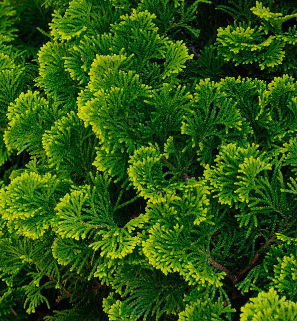 05e81bac762c79830c8c236a24f01e53