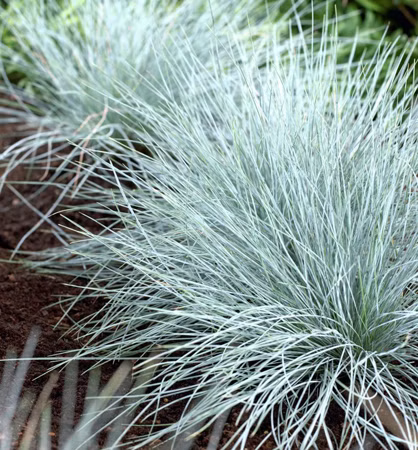 0604b81cc037d5424f62206ae85cebfa