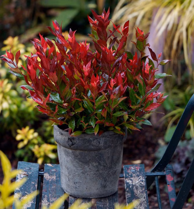 062430ec1c8e1ccdb230447f04aa84de