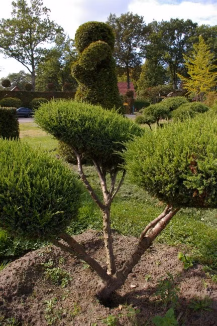 0657a8e9994354dd73a0adf2b696b89a