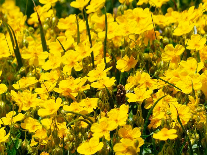 067533b9712d892af2aeab49861f5b59