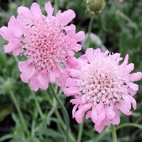 06755c3c857bac259a6d8875b879fe17