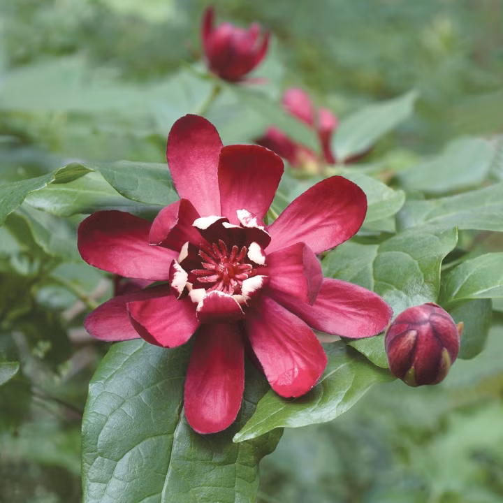 06c80ef2e2d6e09d26f8b6565cda95d6