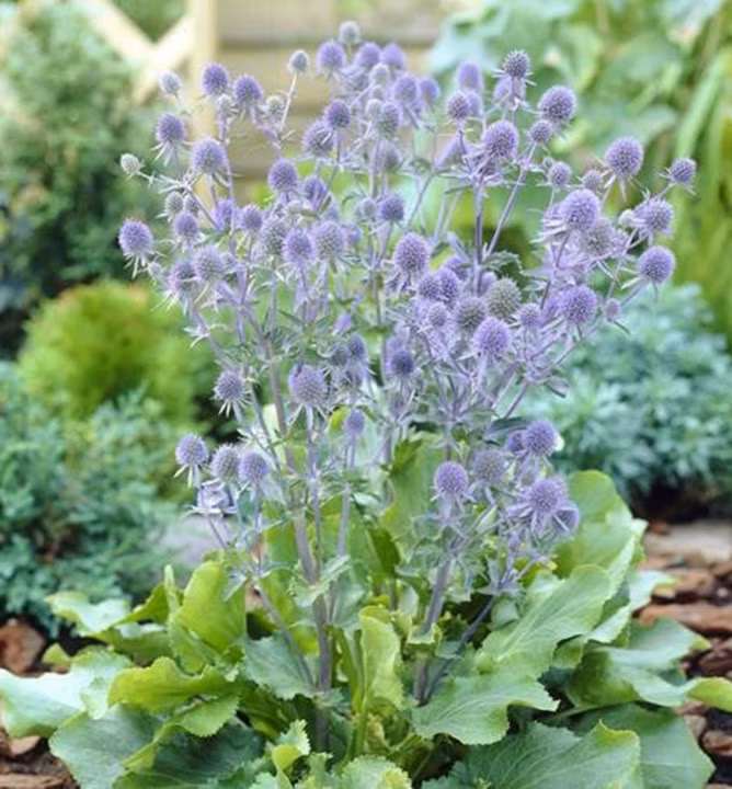 070576a09d5a9d9ab3d7e5bf56904156