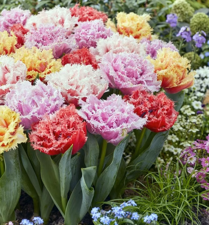 074d454a59537bdbeb2ff8834aaf4464