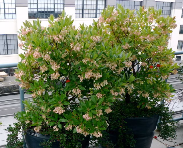 0769bc9b08cf59b6456e2e457bcf7508