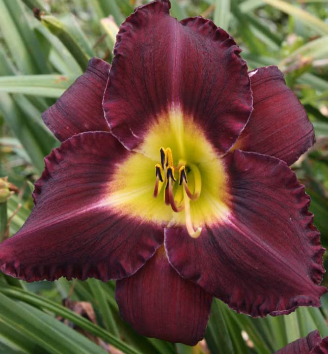 0776484791a1718347044ec6d0af9c93