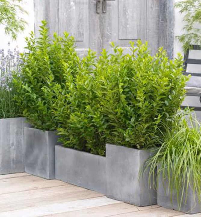 0776facf27d4727502b34c5c0e2132b6