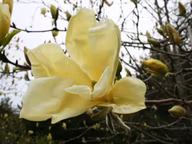 07c9f5c5c9bb2bf3ff71290a1c13a7a7