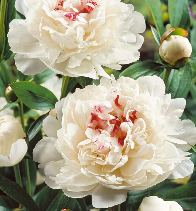 07dd140169766e62f783af586f2c2dc7