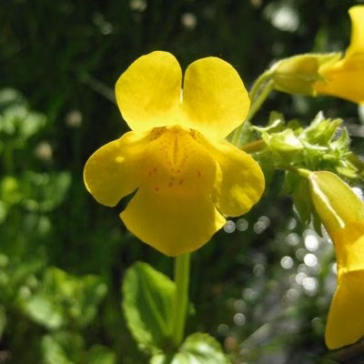 07dd91bf8ae0b5bd671817f168c2b602