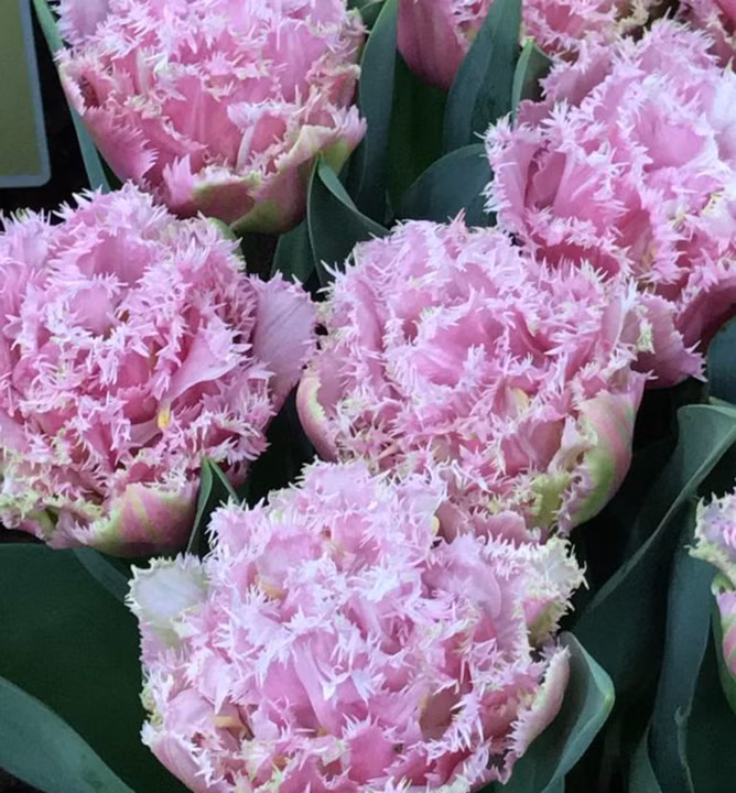 0827f71eb1f2bc7fd14c78daec09e5b3