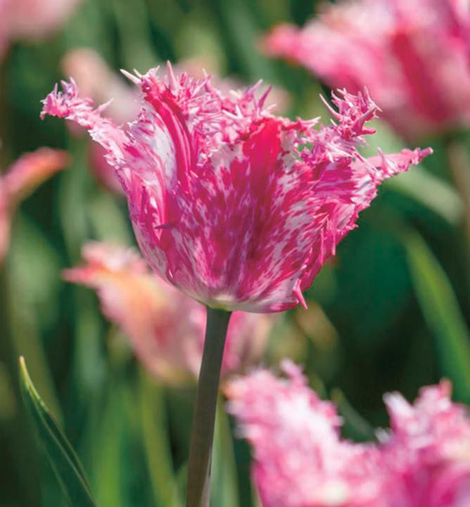 082b57a2149e160153ec517c527a1ccc