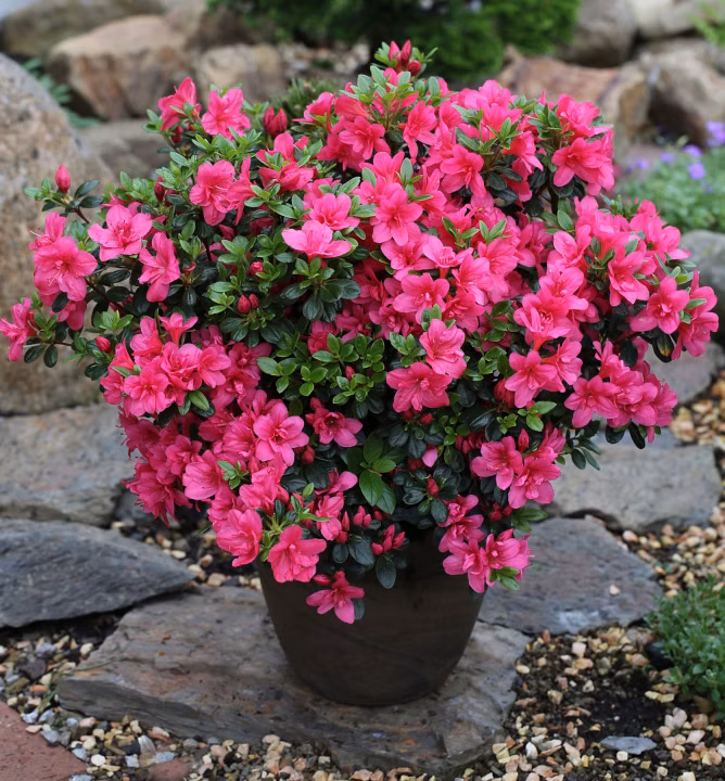 082ec7b87bfa6e76c7f7f8f105f72cd9