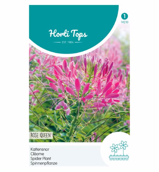 085581352511dd000ed9c0d889de9ef4