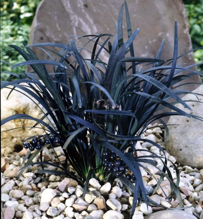 086c2b86d83966f0af92e058d6081876