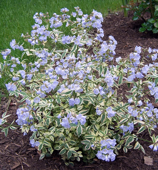 08a93790d5f953df8ca5a6d91425a20d