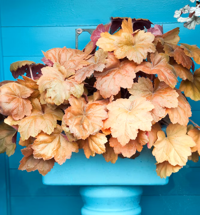 08adfb8ff229c78218133f9f3334995d