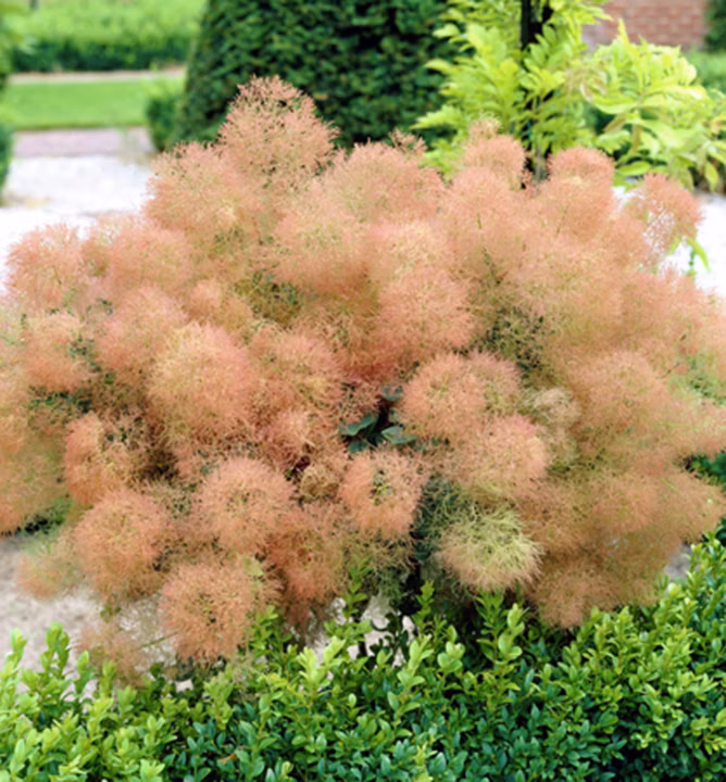 08c1426192b94c80316f48374c8687e3