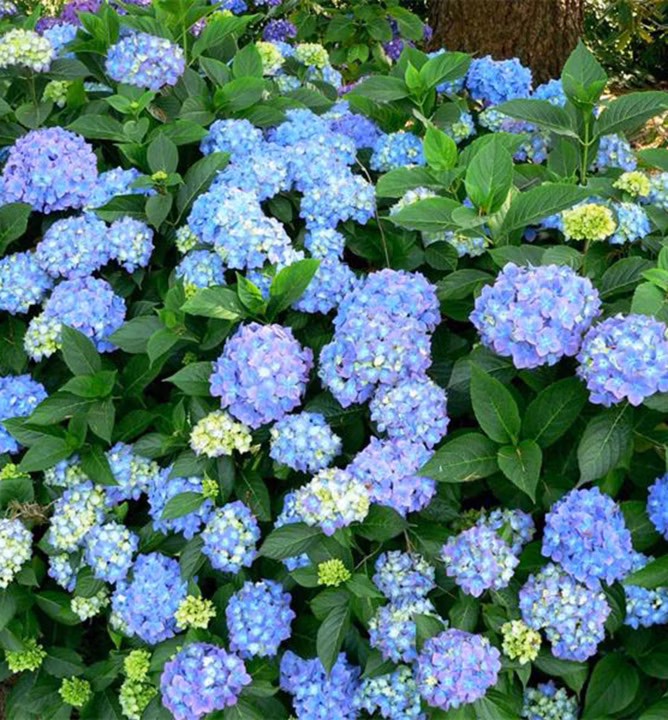 08cc57a2c6a85050ce10ae77dbe209e6