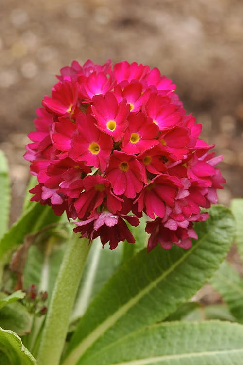 092e250fe1d088d2c5c7a4246501fc2d