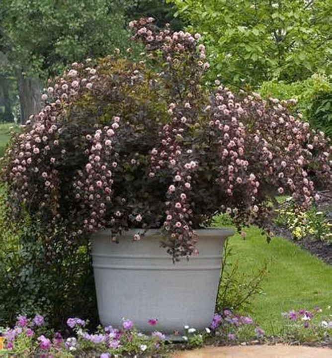 09588e1591b4e061f60e47325894f2cd