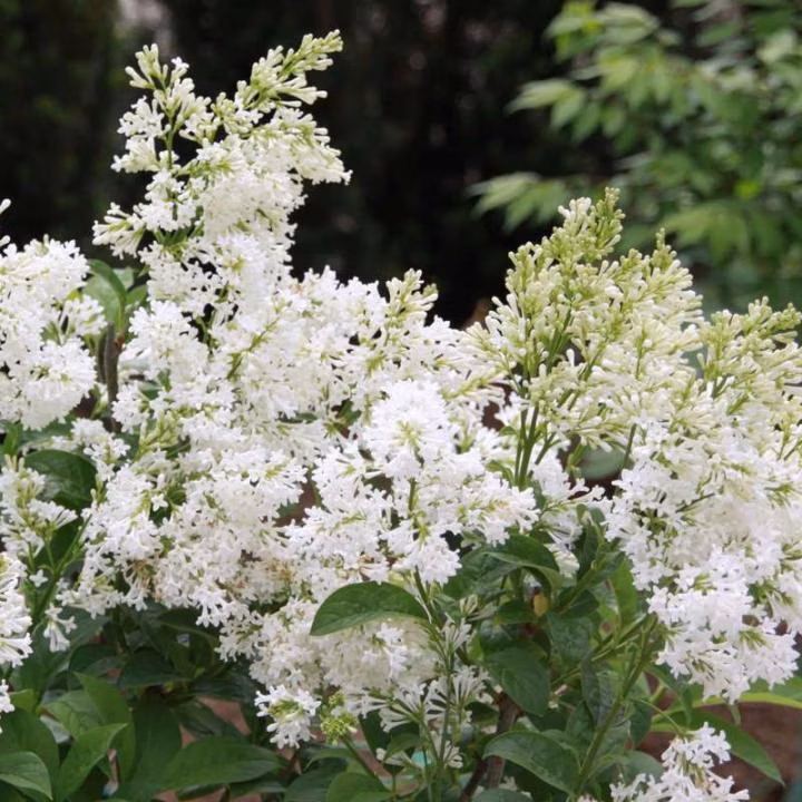 095e5042201f8c5a62d133bd660cd569