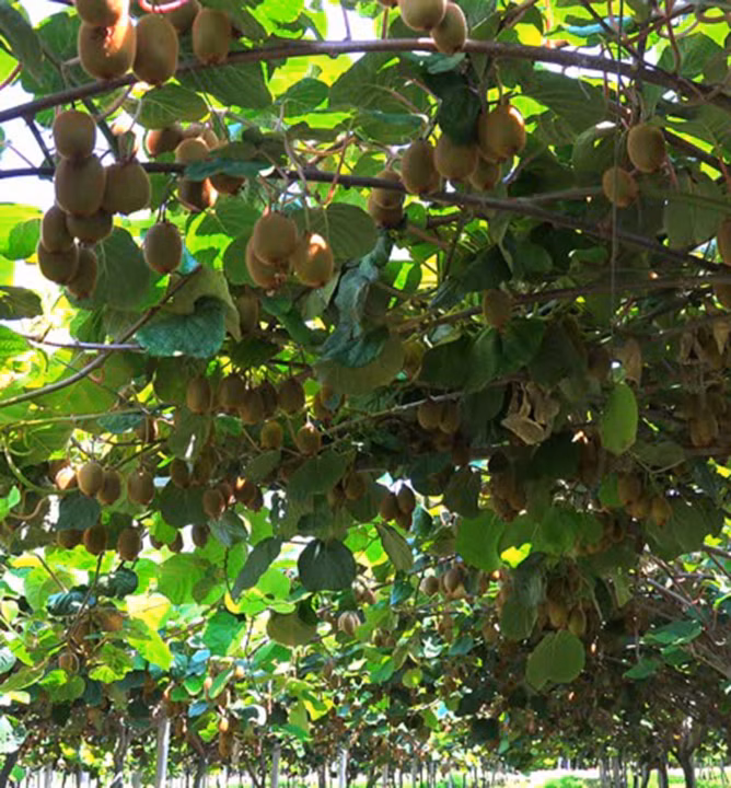 09b7ec9fc5336053fb59adcacc149539