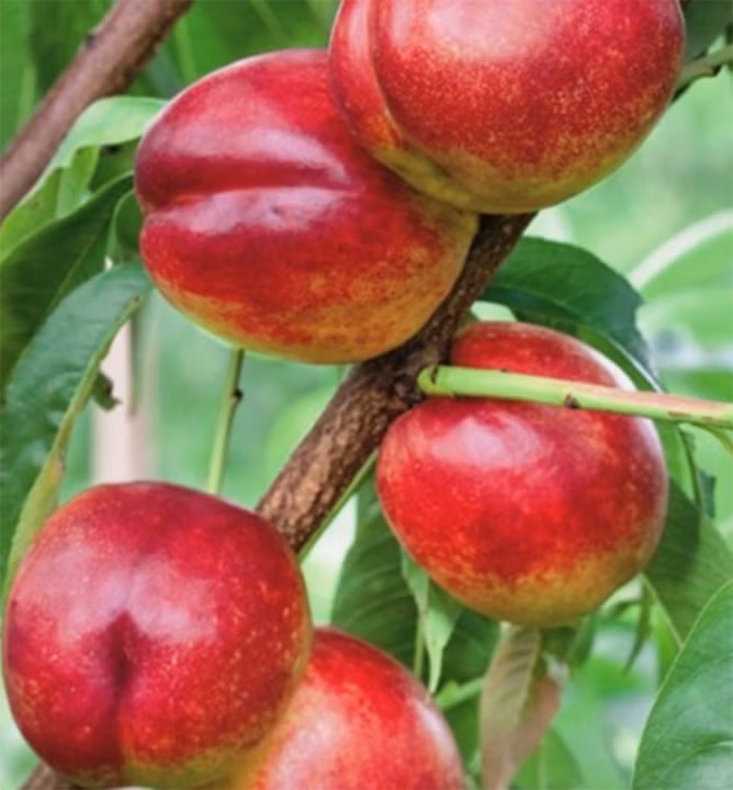 09d8290bd02b804641910f96be99f1bd