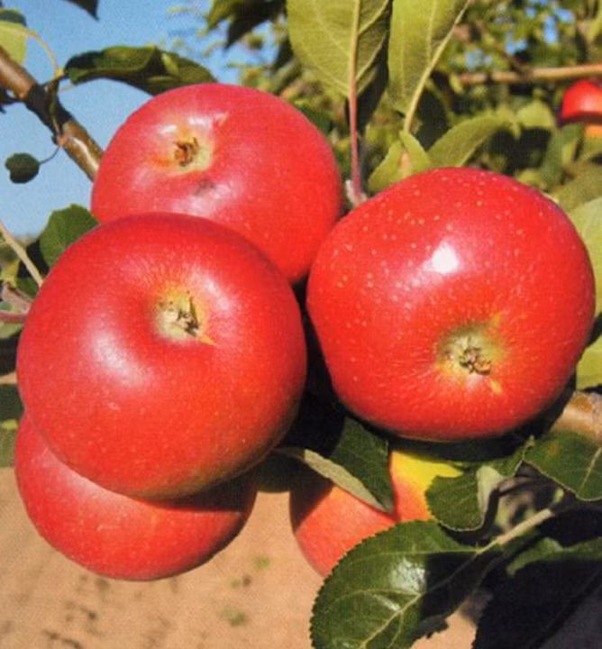 09ef2db864e62950d883998f797c3421