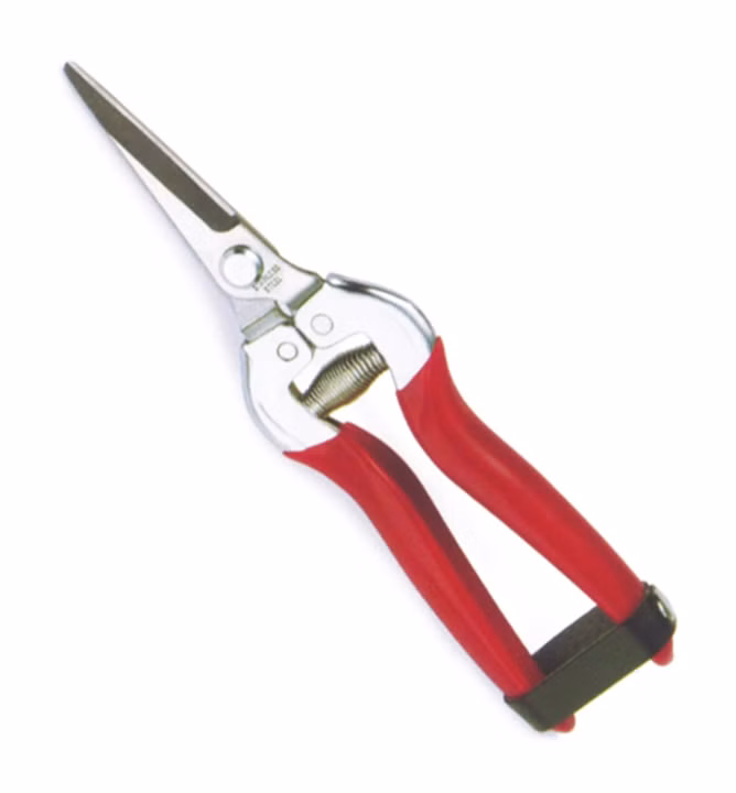 09f2e83fc58a3c1e5750542270ed297b