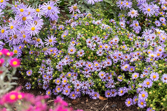 0a04387bfae99192000a11b4f944547f