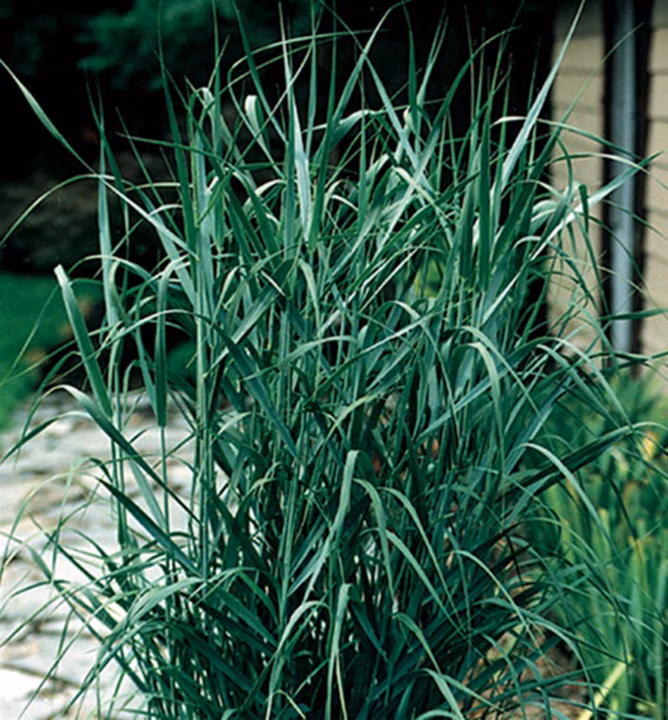 0a209151f815c37ae573c5b29c71eb3e