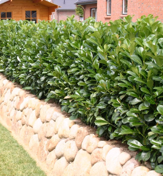 0a342a4e3fe16a9cf379eb0fbe7b7f72