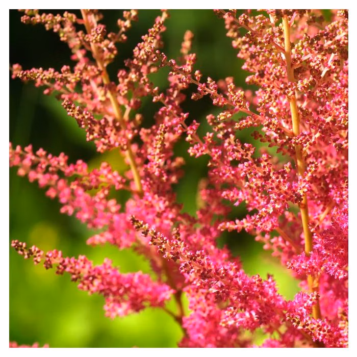 0a4155b82376fb5bc82ca092274fb1c8