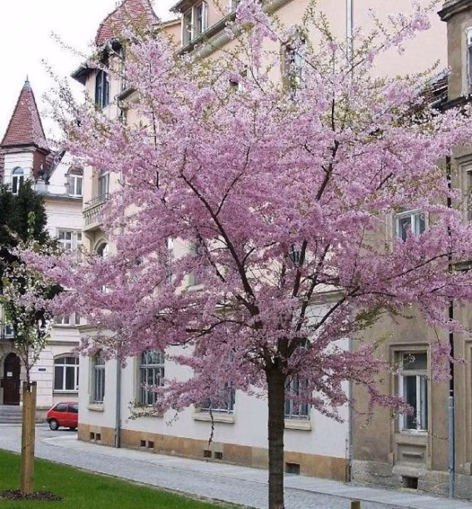 0a435af2c4a7b181fa996489ac152da8