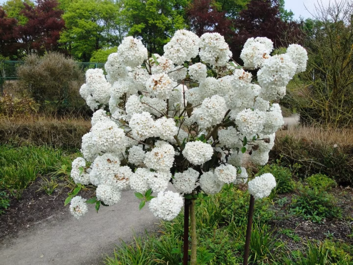 0a54550c8e29c44ba3f82cff5c145984