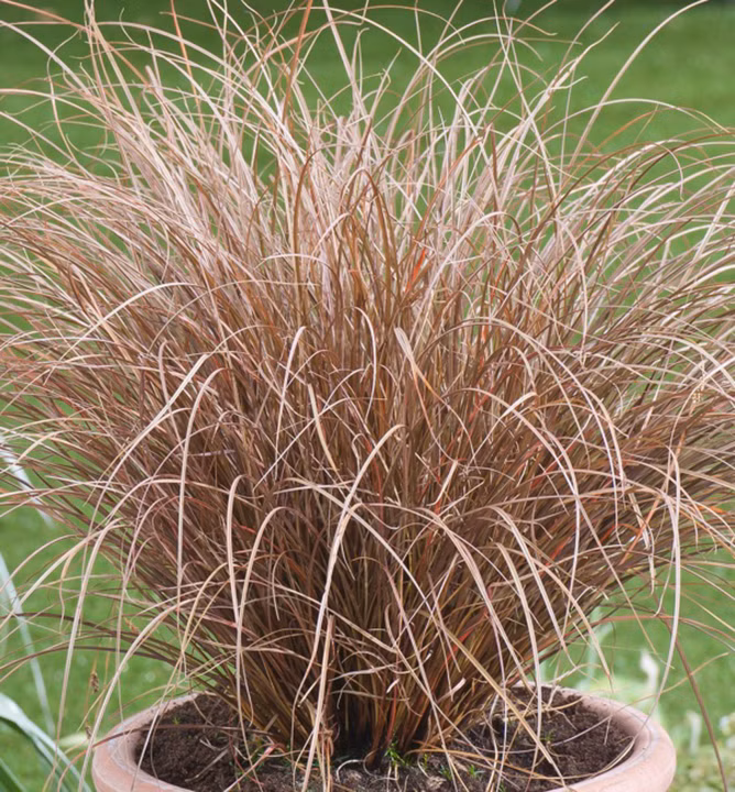 0a9d897fd6a073080a85013b2a9ca1c7