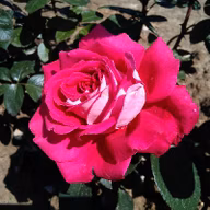 0ab5bc3c7420e91f16f50a146ac58fe1