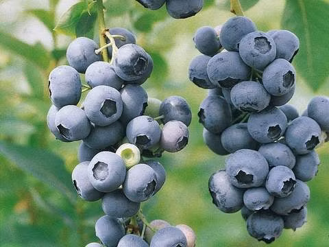 0b105b136648b82fb5c593c8cc7e6a57