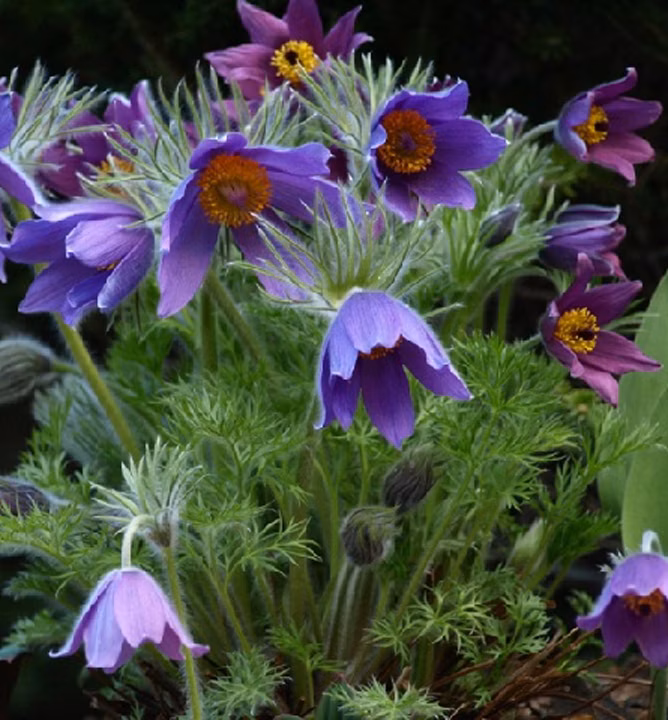 0b13bef386053375df36df6e54f9a1ec