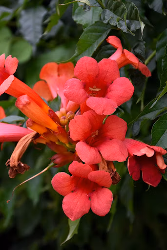 0b3b22fb5817571d6c625298baf81cd1